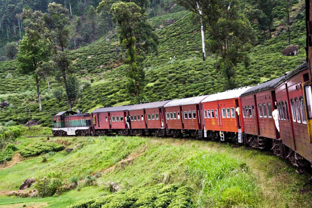 Things to do in Ella with kids - scenic train ride Sri Lanka